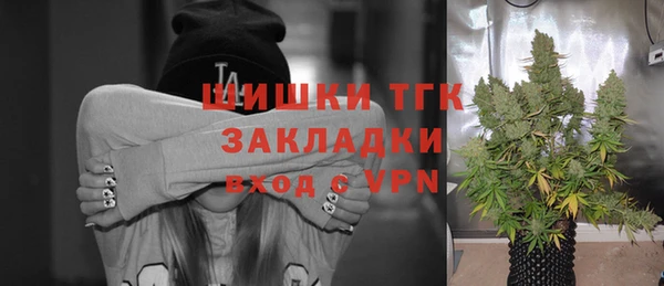 скорость Новозыбков