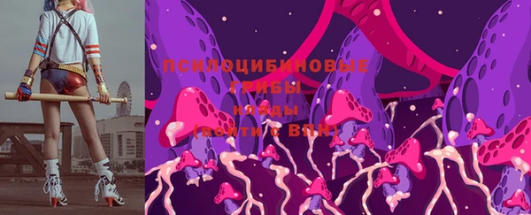 СК Алзамай