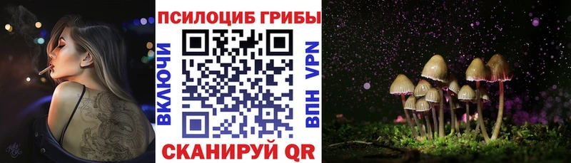 Галлюциногенные грибы Psilocybine cubensis Иноземцево